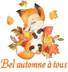 renardeau 23104